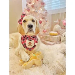 Midlee Christmas Sugar Cookie Plush Dog Toy (Gingerbread Man, Small) -PawHut Sales Store GUEST 001c8579 5a2a 430c bdd2 39bba9b7b4a3