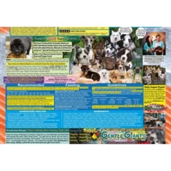 Gentle Giants Grain Free Salmon Feast Complete & Balanced Dry Dog Food - 18lbs -PawHut Sales Store GUEST 0069f212 762b 451f 9bed a29714b54ae7