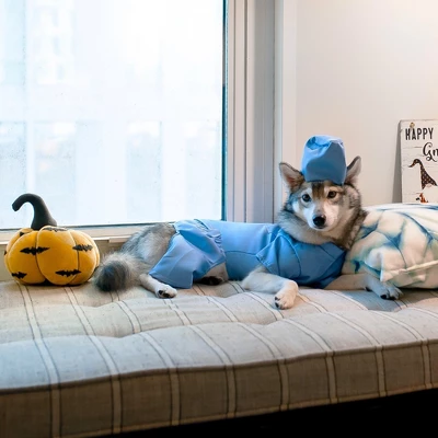 Midlee Scrubs Dog Costume - (XXX-Large) 2 Midlee Scrubs Dog Costume - (XXX-Large) - Image 2