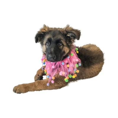 Midlee Pink Birthday Pom Pom Dog Collar 5 Midlee Pink Birthday Pom Pom Dog Collar - Image 5