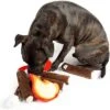 Midlee Campfire Dog Toy