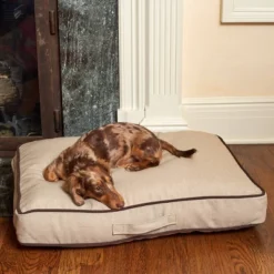 Winn + Willow Sadie Piping Dog And Cat Bed - Beige And Chocolate