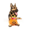 Midlee Find A Toy Halloween Pumpkin Bucket Dog Toy