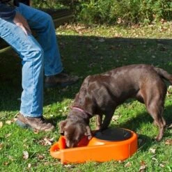 Dakota 283 Dine N Dash Weatherproof Large On-the-Go Travel Feeding And Water Storage System Pet Bowl With 8'' Twist Lid, Orange -PawHut Sales Store GUEST 05aa2da3 fb55 4244 af12 fc4d09c99ee0