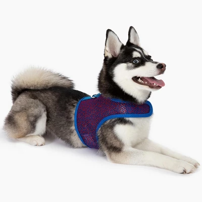 Doggie Design Active Mesh Dog Harness With Leash - Blue & Red 3 Doggie Design Active Mesh Dog Harness With Leash - Blue & Red - Image 3