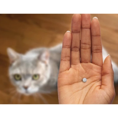 CapAction Flea Treatment For Cats - 2-25lbs 3 CapAction Flea Treatment For Cats - 2-25lbs - Image 3