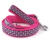 The Worthy Dog Hearts Dog Leash