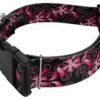 Country Brook Petz 1 1/2 Inch Deluxe Pink Honeysuckle Breeze Dog Collar