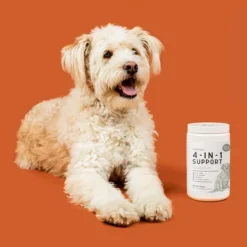 Chew + Heal 4-in-1 Support Multivitamin, Dog Vitamin, Contains Probiotics & Numerous Vitamins - 120 Delicious Chews 9 Chew + Heal 4-in-1 Support Multivitamin, Dog Vitamin, Contains Probiotics & Numerous Vitamins - 120 Delicious Chews -PawHut Sales Store GUEST 0828c7e0 5880 4888 b482 f13dc375a139