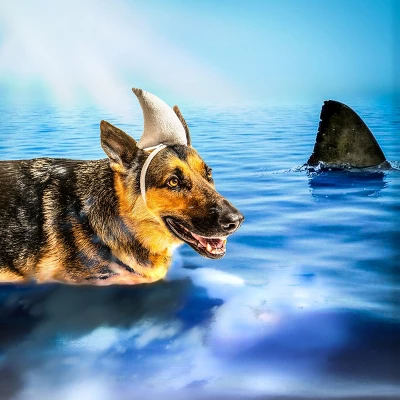 Midlee Shark Dog Headband Costume 3 Midlee Shark Dog Headband Costume - Image 3