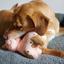 Bite Force Built With Kevlar Tough Plush Pig Dog Toy 17 Bite Force Built With Kevlar Tough Plush Pig Dog Toy -PawHut Sales Store GUEST 09170cc9 435b 4dff a253 b9694d80ea69