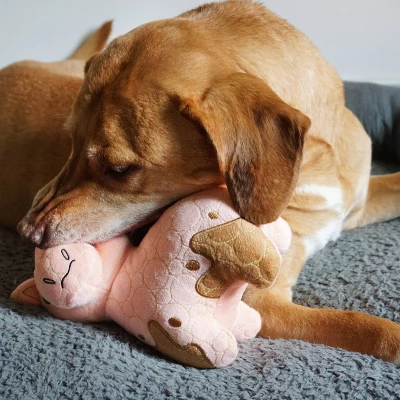 Bite Force Built With Kevlar Tough Plush Pig Dog Toy 9 Bite Force Built With Kevlar Tough Plush Pig Dog Toy - Image 9