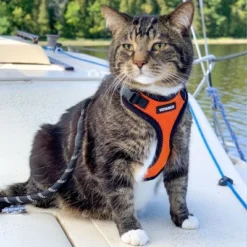 Voyager Step-In Lock Adjustable Dog & Cat Harness For All Breeds, Breathable Mesh -PawHut Sales Store GUEST 093c954b 782c 41dc 88d4 309efc830b26