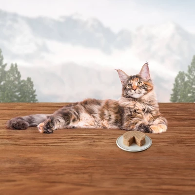 Blue Buffalo Wilderness High Protein, Natural Adult Pate Wet Cat Food Variety Pack With Chicken, Salmon, Duck Flavor - 3oz/12ct 3 Blue Buffalo Wilderness High Protein, Natural Adult Pate Wet Cat Food Variety Pack With Chicken, Salmon, Duck Flavor - 3oz/12ct - Image 3