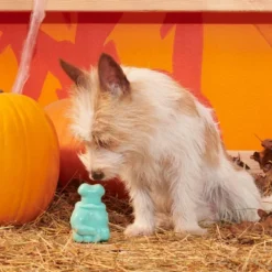 BARK Halloween Super Chewer Knock 'Em Dead Dog Toy -PawHut Sales Store GUEST 0a9d8f3f c2aa 4764 b3d6 a78cb14d0b5a