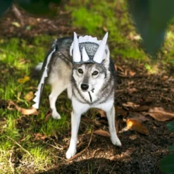 Midlee Dinosaur Dog Headband & Tail Costume -PawHut Sales Store GUEST 0aa6c1b9 6d48 4b13 a0cd 95792a724ab4