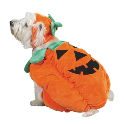 Zack & Zoey Pumpkin Pooch Dog Costume 6 Zack & Zoey Pumpkin Pooch Dog Costume - Image 6