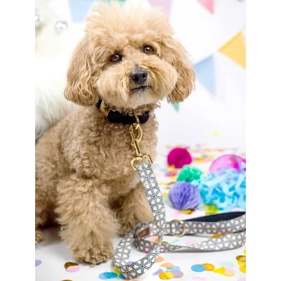 Pink Papyrus Avery Dog Leash 2 Pink Papyrus Avery Dog Leash - Image 2