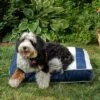 Winn + Willow Sadie Reversible Dog And Cat Bed - Navy And White Stripe