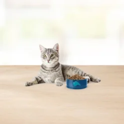 Blue Buffalo Basics Skin & Stomach Care Grain Free Natural Indoor With Fish & Potato Adult Dry Cat Food - 11lbs 12 Blue Buffalo Basics Skin & Stomach Care Grain Free Natural Indoor With Fish & Potato Adult Dry Cat Food - 11lbs -PawHut Sales Store GUEST 0d503303 8d54 427c a795 8d50539188b4