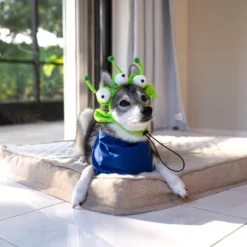 Midlee Alien Dog Headband Costume -PawHut Sales Store GUEST 0e2fffa7 5ab5 488e 9eb8 fa2ed26ba5a0