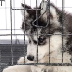 Set Of 2 Stainless-Steel Dog Bowls - Cage, Kennel, And Crate Hanging Pet Bowls For Food And Water - 20oz Each And Dishwasher Safe By PETMAKER -PawHut Sales Store GUEST 0ecca290 2541 46da bce2 f56d9642efed