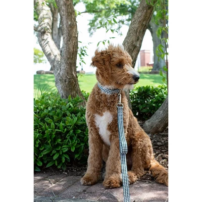 Country Brook Petz Houndstooth Martingale Dog Collar 2 Country Brook Petz Houndstooth Martingale Dog Collar - Image 2