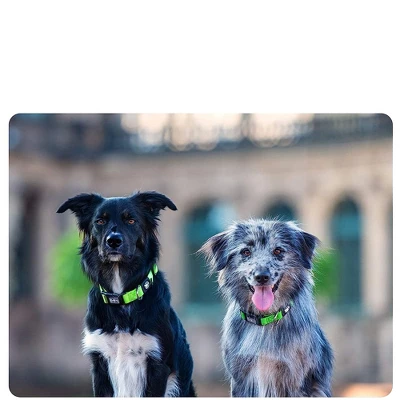 DDOXX Nylon Airmesh Dog Collar - Red - Medium 2 DDOXX Nylon Airmesh Dog Collar - Red - Medium - Image 2