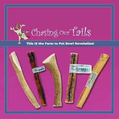 Chasing Our Tails Elk Antler Large For Dogs 1 Count 3 Chasing Our Tails Elk Antler Large For Dogs 1 Count - Image 3