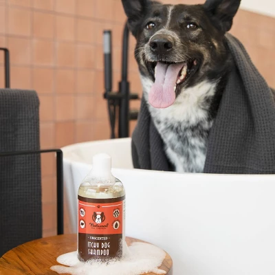 Natural Dog Company Itchy Dog Shampoo - 12oz 5 Natural Dog Company Itchy Dog Shampoo - 12oz - Image 5