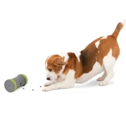 PetSafe Kibble Chase Roaming Treat Dropper - Gray