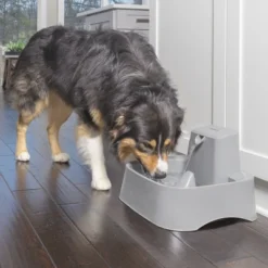 PetSafe Drinkwell Pet Fountain - Gray