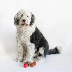 Midlee Red Nose Christmas Dog Tennis Balls (Standard) 9 Midlee Red Nose Christmas Dog Tennis Balls (Standard) -PawHut Sales Store GUEST 1743e40d 7e2d 4755 9558 c05351d94e41