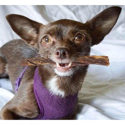 Pawstruck 5" Junior Beef Gullet Bully Sticks For Dogs & Puppies Natural Odorless Jr. Esophagus Treat - Joint Health Mini Thin Jerky Chew Steer Stix 5 Pawstruck 5" Junior Beef Gullet Bully Sticks For Dogs & Puppies Natural Odorless Jr. Esophagus Treat - Joint Health Mini Thin Jerky Chew Steer Stix - Image 5