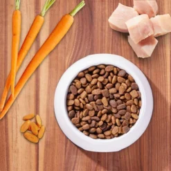 IAMS Proactive Health Chicken Large Breed Puppy Premium Dry Dog Food