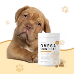 Chew + Heal Omega Skin + Coat, Dog Supplement, Salmon Oil With Essential Fatty Acids & Vitamins - 180 Delicious Chews -PawHut Sales Store GUEST 1928b5b9 9c23 4739 8a81 0b4806a63e27