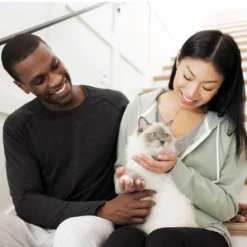 IAMS Advanced Immune Health With Salmon & Chicken Flavor Adult Dry Cat Food - 7lbs -PawHut Sales Store GUEST 195c191f 1aab 417f bb5c 77a165c2a677