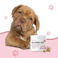 Chew + Heal Allergy Aid With Antioxidants, Dog Supplement, Immune Booster & Seasonal Allergy Relief - 90 Delicious Chews -PawHut Sales Store GUEST 19a3fa50 617f 402e 901e bd41ca29c383