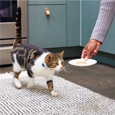 Temptations Creamy Puree With Salmon Lickable Squeezable Adult Cat Treats 5 Temptations Creamy Puree With Salmon Lickable Squeezable Adult Cat Treats - Image 5