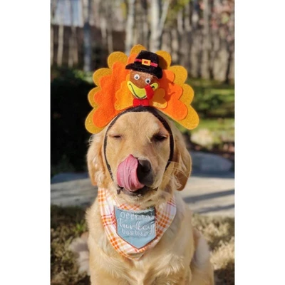 Midlee Turkey Dog Headband 5 Midlee Turkey Dog Headband - Image 5
