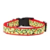 The Worthy Dog Lit Dog Collar