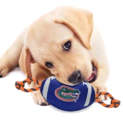 NCAA Florida Gators Nylon Football Dog Toy 5 NCAA Florida Gators Nylon Football Dog Toy -PawHut Sales Store GUEST 1c6847e6 530e 407e b9f0 0462a72f9c4c