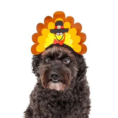 Midlee Turkey Dog Headband 4 Midlee Turkey Dog Headband - Image 4