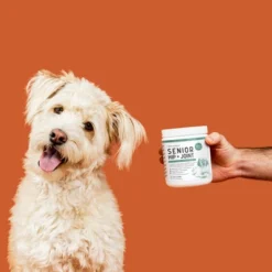 Chew + Heal Senior Hip And Joint Support, Dog Supplement, Aids Mobility, Joint & Cartilage Health - 120 Delicious Chews 10 Chew + Heal Senior Hip And Joint Support, Dog Supplement, Aids Mobility, Joint & Cartilage Health - 120 Delicious Chews -PawHut Sales Store GUEST 1d686618 3541 42a1 9610 9de9b7e2ad5c