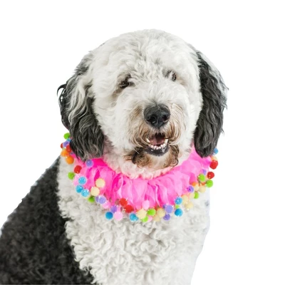 Midlee Pink Birthday Pom Pom Dog Collar 1 Midlee Pink Birthday Pom Pom Dog Collar