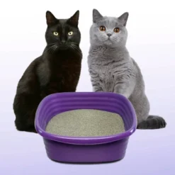 Arm & Hammer Slide Easy Clean Up Multi-Cat Clumping Litter -PawHut Sales Store GUEST 1ff491b6 3f06 420c a000 afdbb4ab0f7b