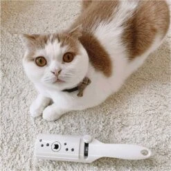 Necoichi Purrfection Neat & Easy Feline Hair Remover Pet Grooming Tool 15 Necoichi Purrfection Neat & Easy Feline Hair Remover Pet Grooming Tool -PawHut Sales Store GUEST 2135f75d 7f98 4499 9a08 6ab406a0bdbc