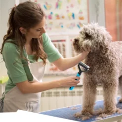 BOSHEL Undercoat Rake For Dogs - Premium Double Sided Dog Grooming Brush - Dog Deshedding Brush - Dematting Comb For Dogs 10 BOSHEL Undercoat Rake For Dogs - Premium Double Sided Dog Grooming Brush - Dog Deshedding Brush - Dematting Comb For Dogs -PawHut Sales Store GUEST 21d935fc c27a 4796 be47 a8bb4b3ddc5f