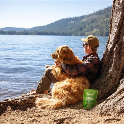 Zesty Paws Hemp Elements Behavior Calming OraStix For Dogs - Peppermint Flavor 3 Zesty Paws Hemp Elements Behavior Calming OraStix For Dogs - Peppermint Flavor - Image 3