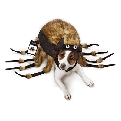 Zack & Zoey Fuzzy Tarantula Costume For Dogs 1 Zack & Zoey Fuzzy Tarantula Costume For Dogs